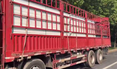 旭東PVC圍擋批發(fā)直供龍崗工地，2500米圍擋當(dāng)天閃電送達(dá)